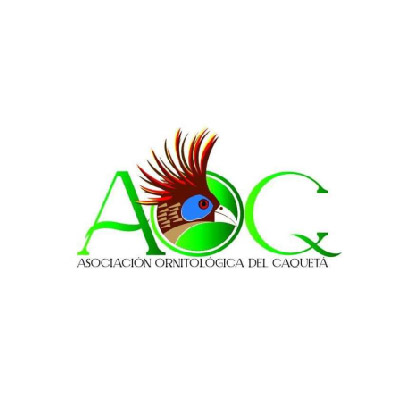 Asociación Ornitológica del Caquetá AOC
